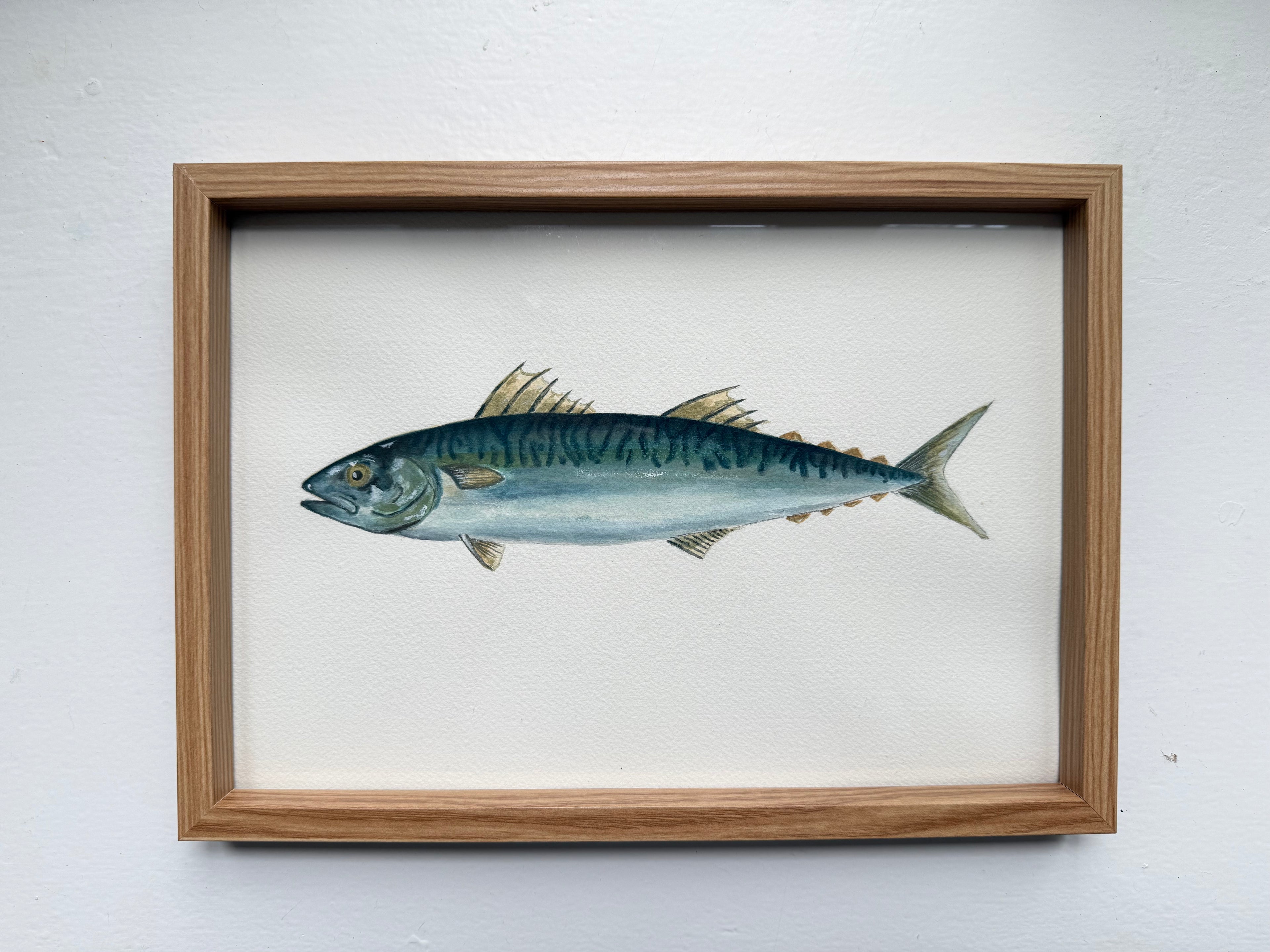 Makrel / Mackerel
