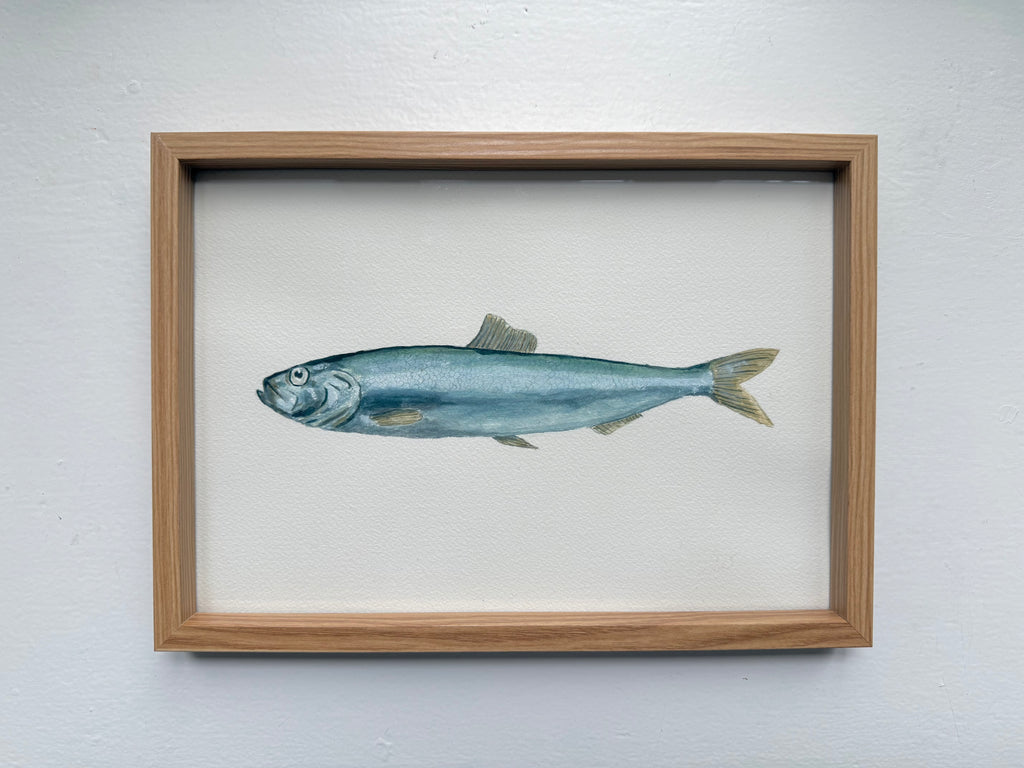 Sild / Herring