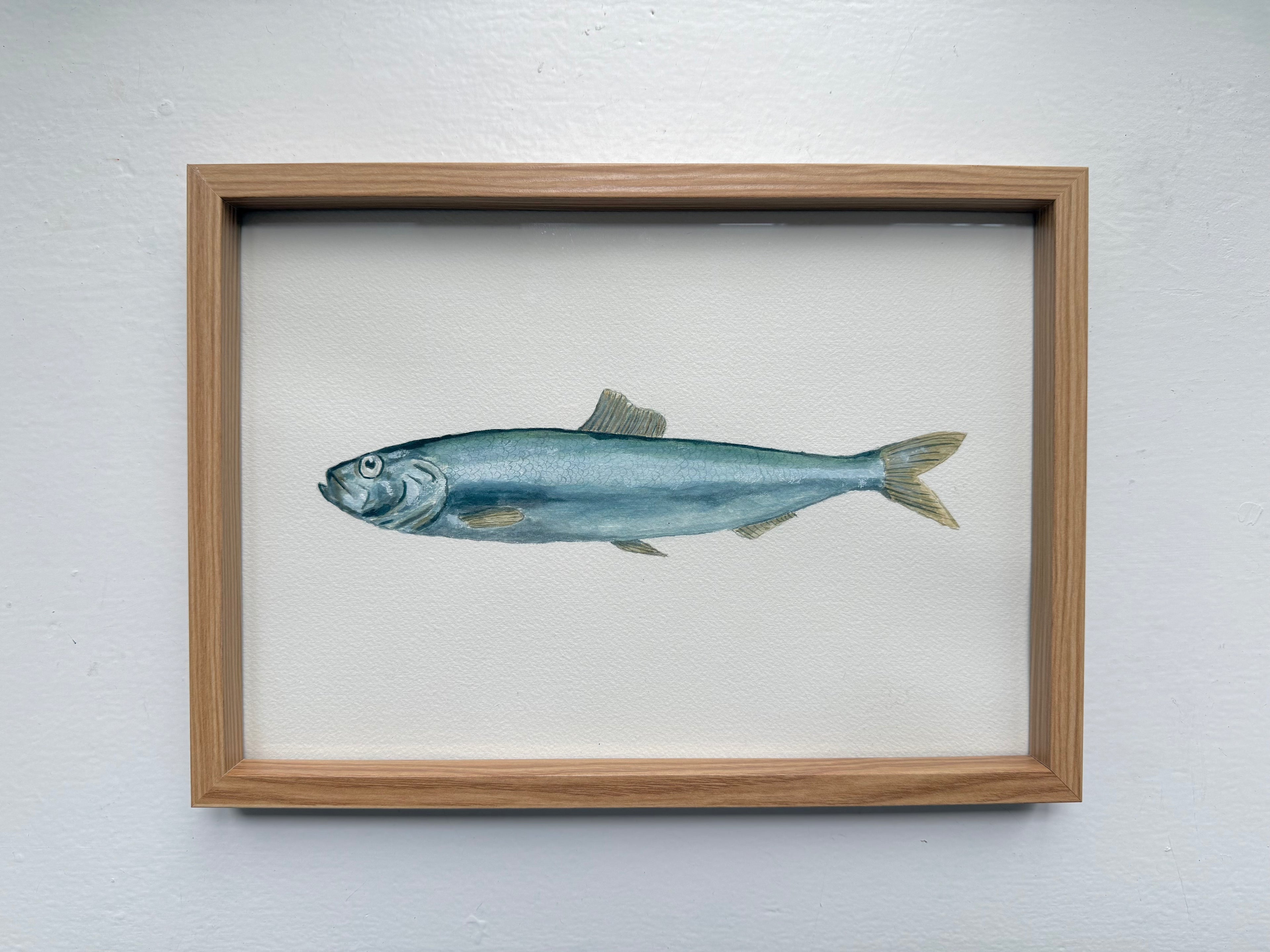 Sild / Herring