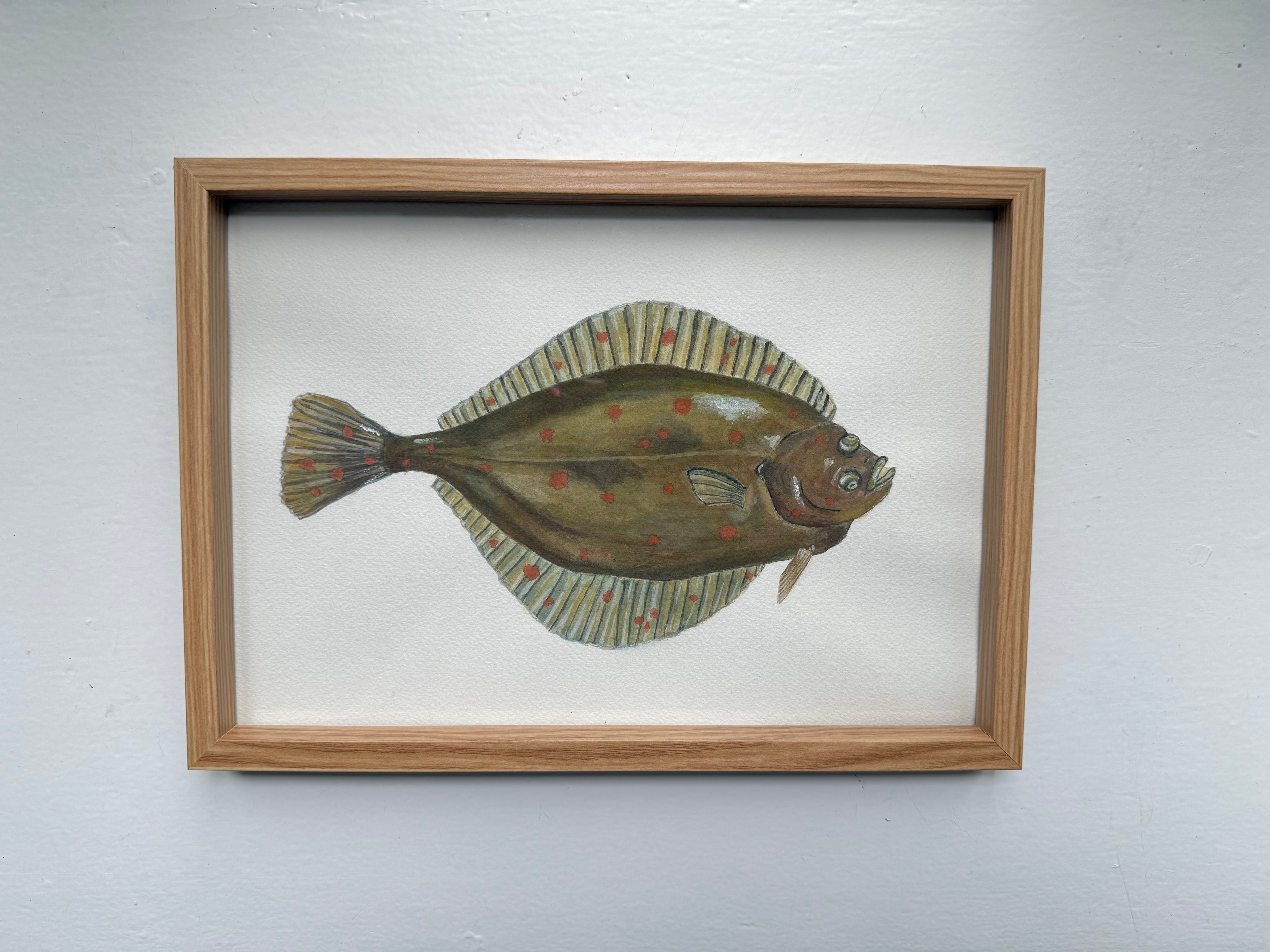 Rødspætte / Plaice