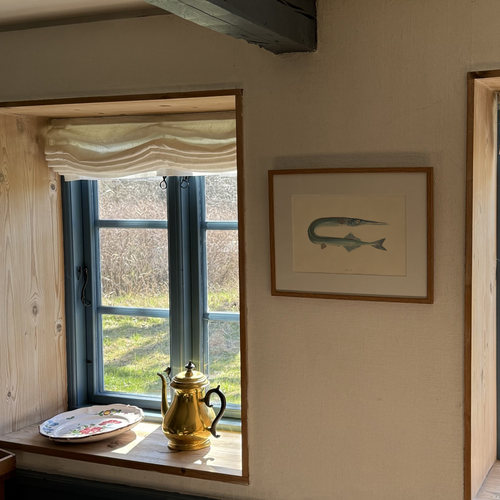Hornfisk / Garfish