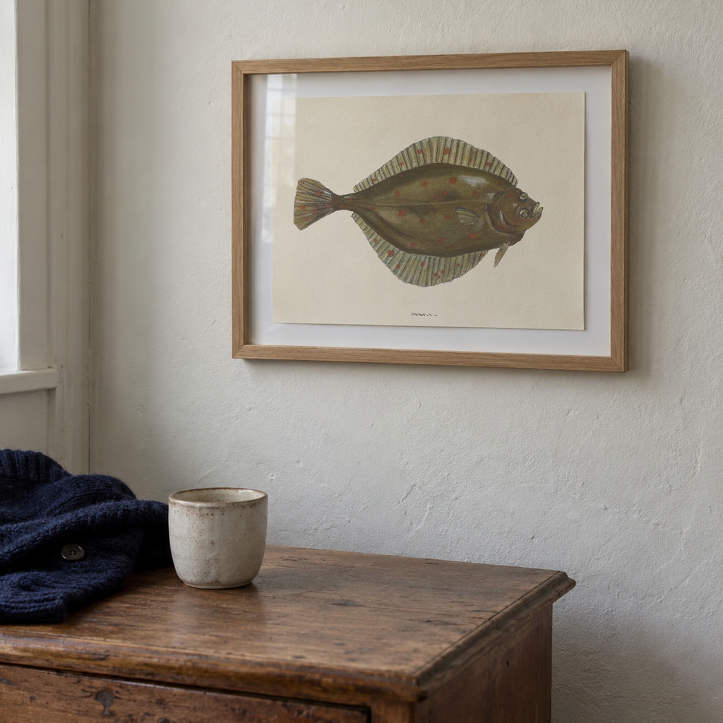 Rødspætte / Plaice